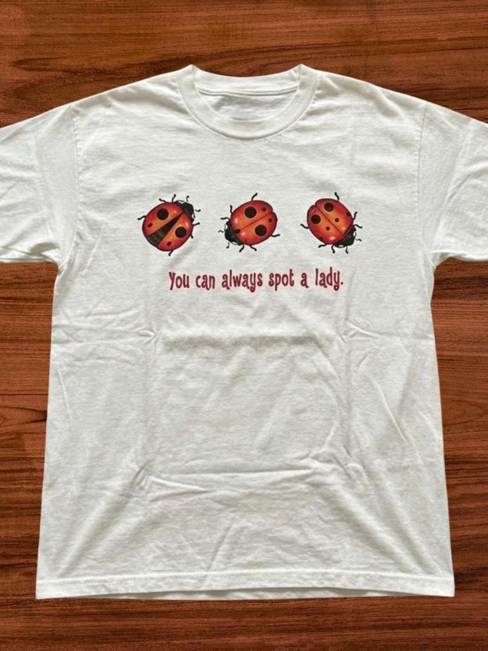 Gildan White Ladybugs Graphic T-shirt